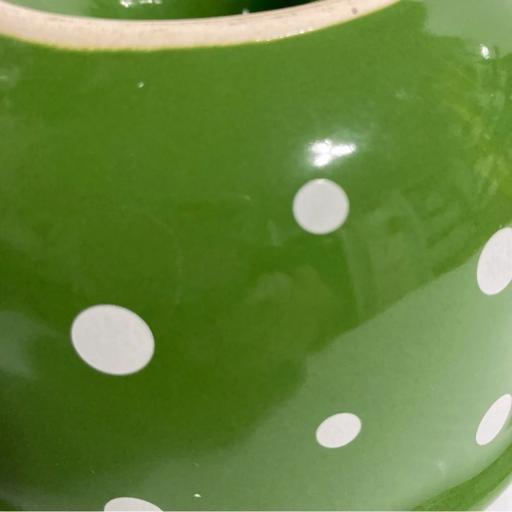 TEMP-TATIONS Ovenware Baking Mini by Green  White Polka Dots 2.5 x 5.5 in